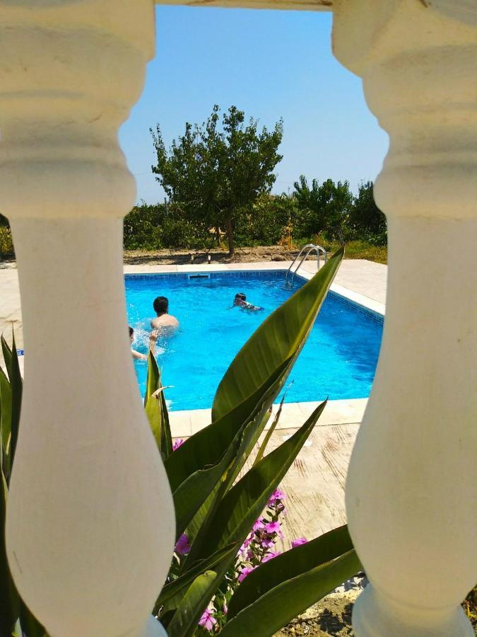 Vilă Rita Mare Seafront Heated Pools *